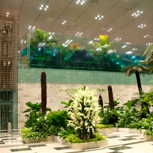 싱가포트 창이공항4