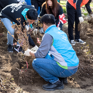 미세먼지 저하를 위해 나무를 심는 직원들의 모습