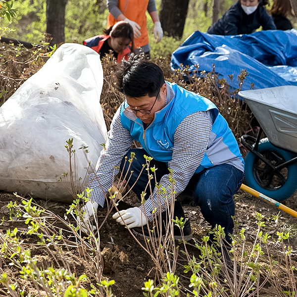미세먼지 저하를 위해 나무를 심는 직원들의 모습