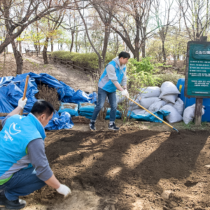 미세먼지 저하를 위해 나무를 심는 직원들의 모습