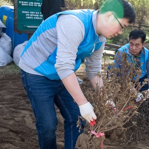 미세먼지 저하를 위해 나무를 심는 직원들의 모습