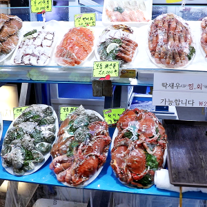 제주도 서귀포 매일올레시장 제주도 서귀포 매일올레시장