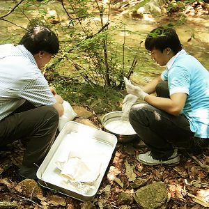 토종효모 발굴을 위한 현장 채집