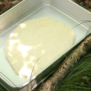 토종효모 발굴을 위한 현장 채집