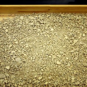 토종효모를 발굴하기 위한 노력