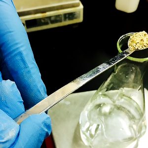 토종효모를 발굴하기 위한 노력