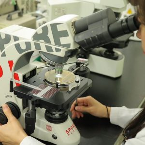 미생물 자체의 셀을 분리하고 붙이고 있는 모습