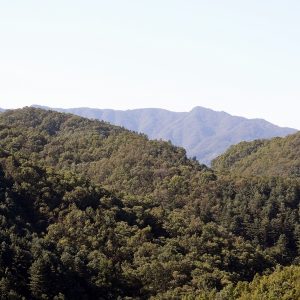 가평휴게소 ‘포트래블’ 스낵코너 앞에 위치한 야외테라스