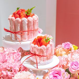 스트로베리 샤를로뜨