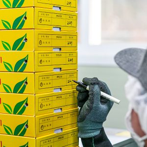 딸기를 선별, 포장하는 진주팜의 직원 진주팜 딸기농가