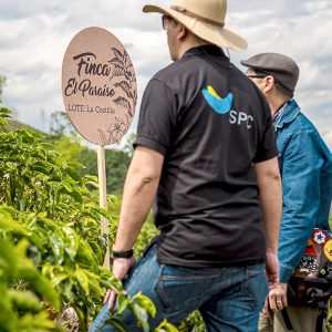 콜롬비아 엘파라이소 농장