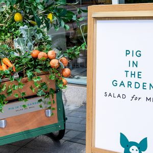 피그인더가든 코엑스점 입구