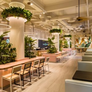 싱가포르 쉐이크쉑 닐로드점 내부