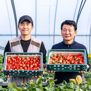 진주 딸기 농가