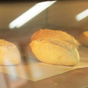 상미종을 활용해 제품을 개발하는 모습