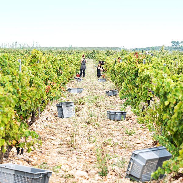직접 공수한 제품의 원료