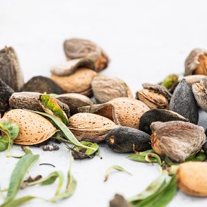 열정을 다해 만드는 초콜릿