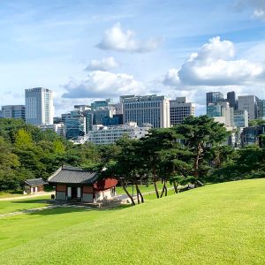 선릉과 정릉 (사진 출처: Instagram @romantic.sweets) 선릉과 정릉 (사진 출처: Instagram @romantic.sweets)