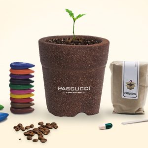 파스쿠찌 친환경 패키징