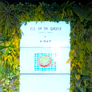 쾌적하고 편안한 분위기에서 샐러드를 즐길 수 있는 피그인더가든