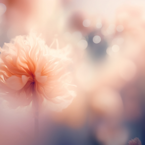 PAN_COY_Categories_Place_Flower_2023_11-21