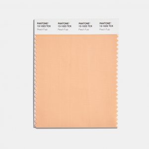 Pantone_swatch