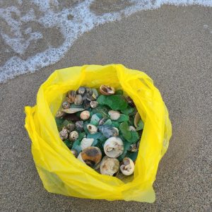 KakaoTalk_20220613_223959418 KakaoTalk_20220613_223959418