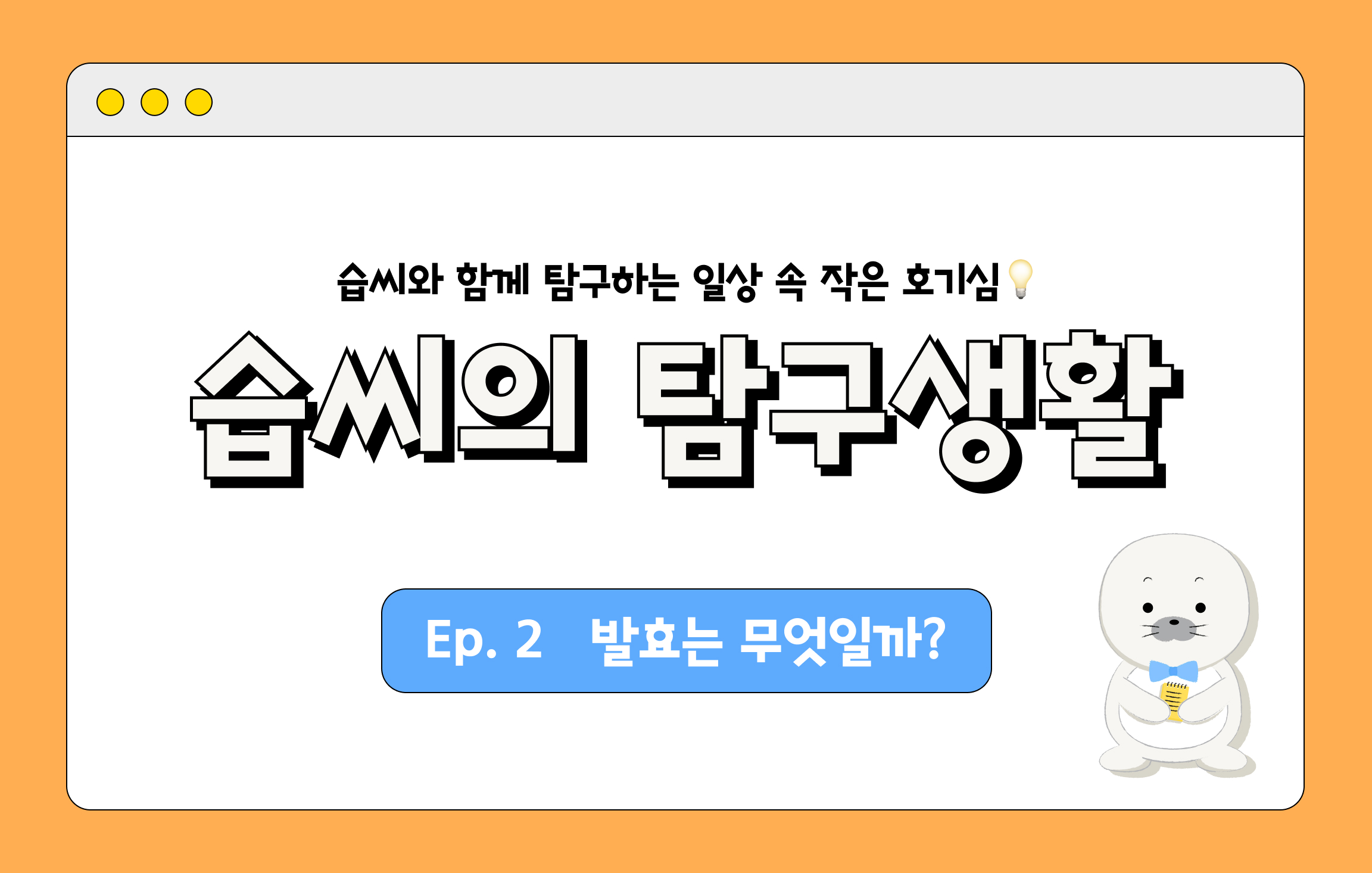 습씨의 탐구생활