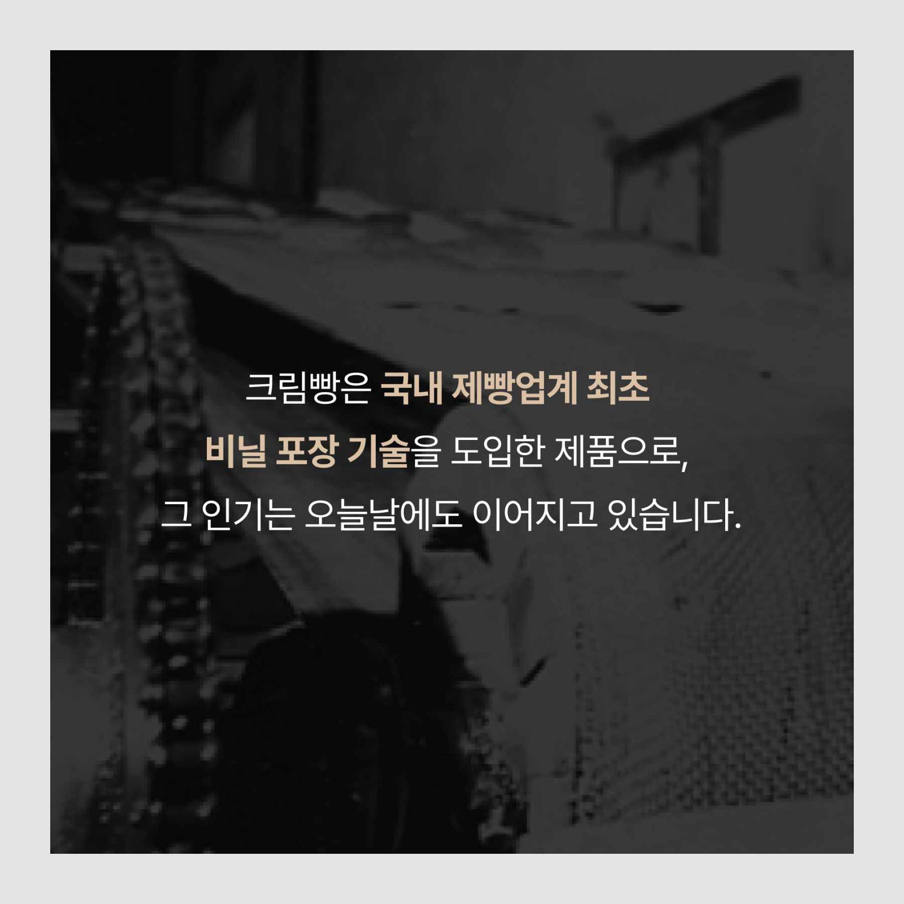 제빵업계 최초 비닐 포장 기술