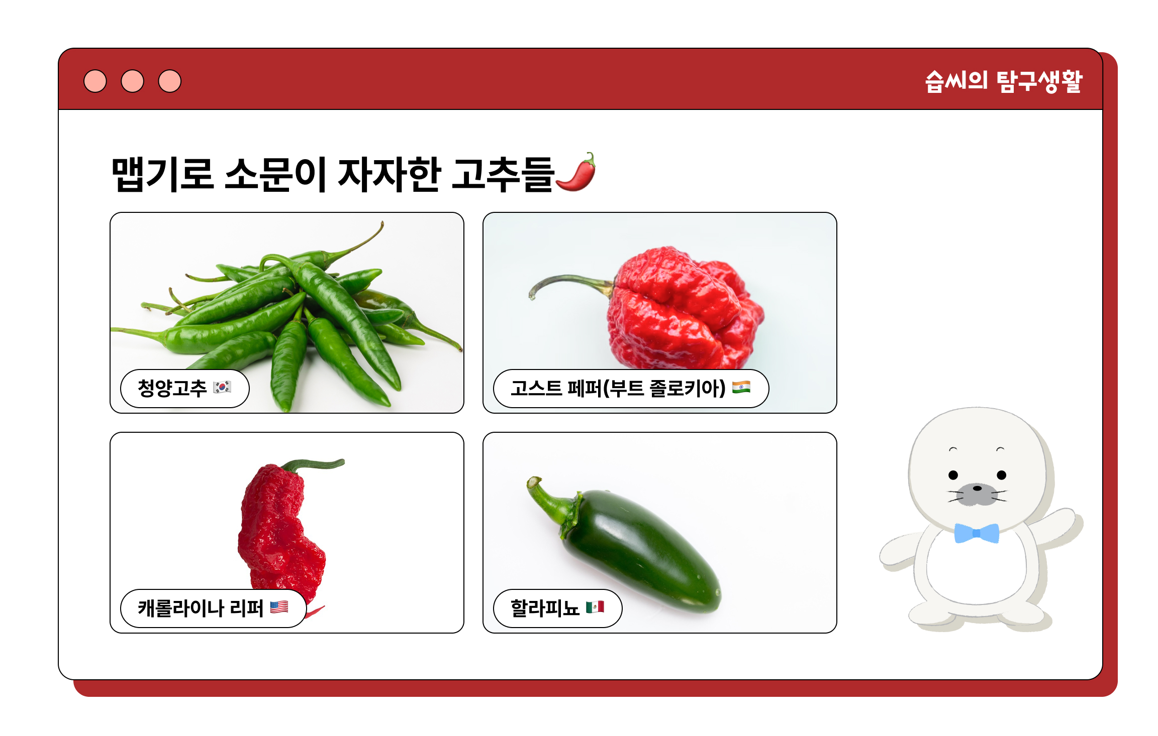 5-맵기로-소문이-자자한-고추들