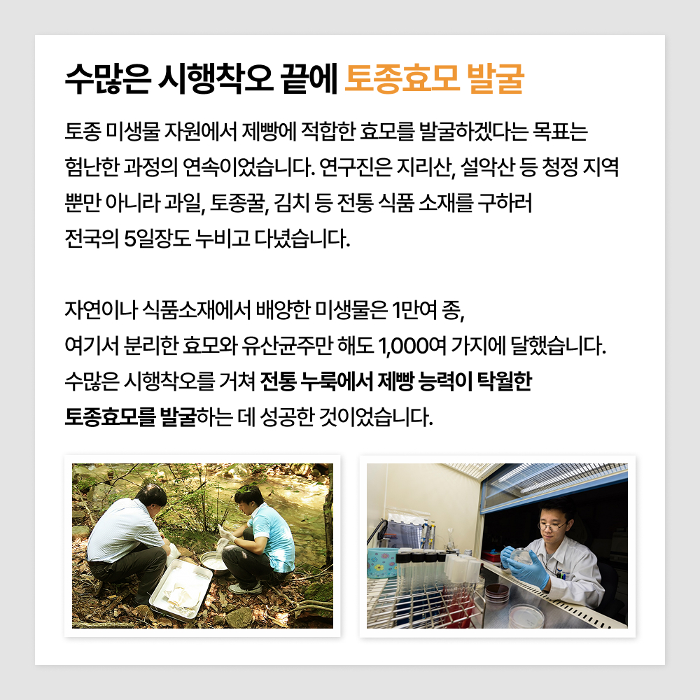 수많은 시행착오 끝에 토종효모 발굴