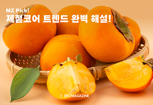 제철코어_썸네일