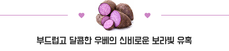부드럽고 달콤한 우베의 신비로운 보라빛 유혹
