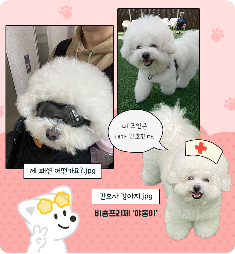 반려동물2