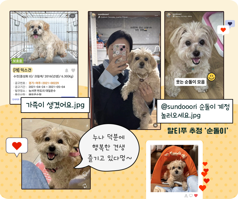 반려동물1