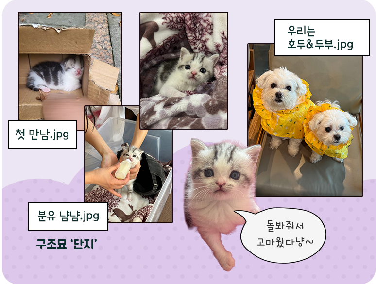 반려동물4